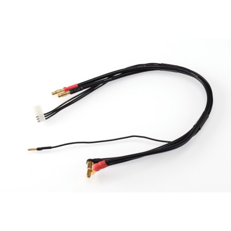 RUDDOG 2S Ladekabel 30cm (4/5mm,2mm)(4mm,7PIN-PQ)
