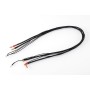 RUDDOG 2S Ladekabel 60cm (4/5mm,2mm)(4mm,3PIN-XH)