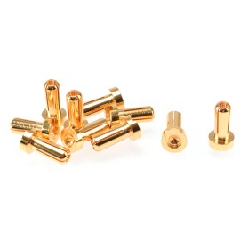 4mm Gold Plug Male 12mm (10pcs)