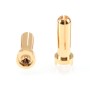 5mm Gold Kontakt Stecker 2 Stk.