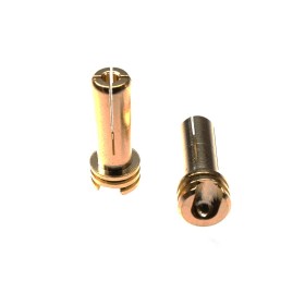 5mm Gold Plug Male 14mm (2pcs)